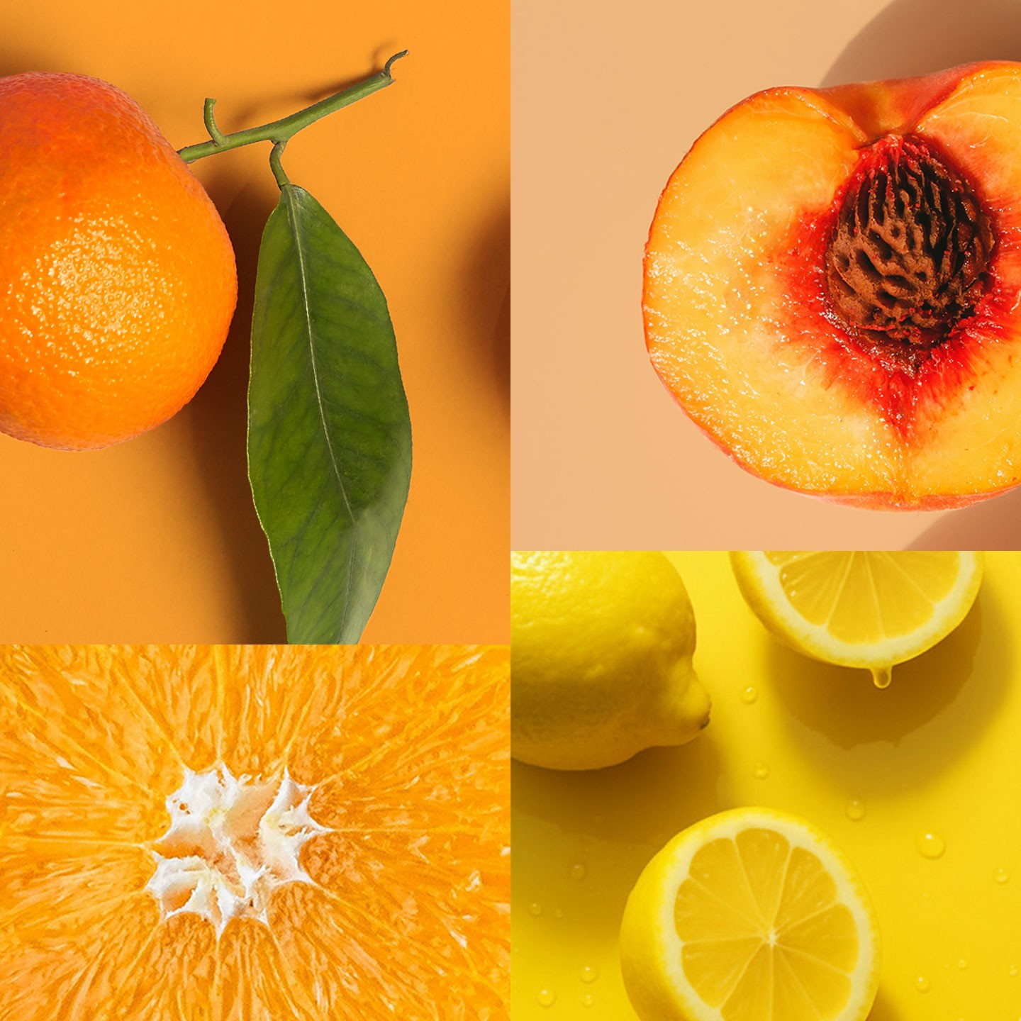 like-nature-ingredienti3